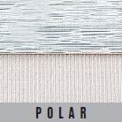 POLAR-1